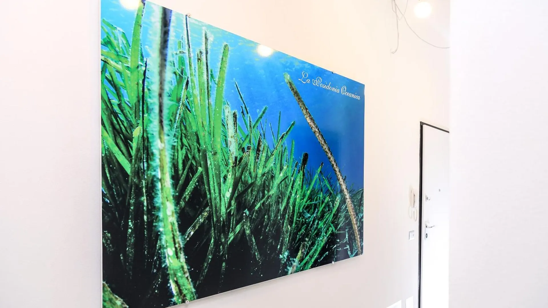 La Posidonia Oceanica Bed & Breakfast Alghero